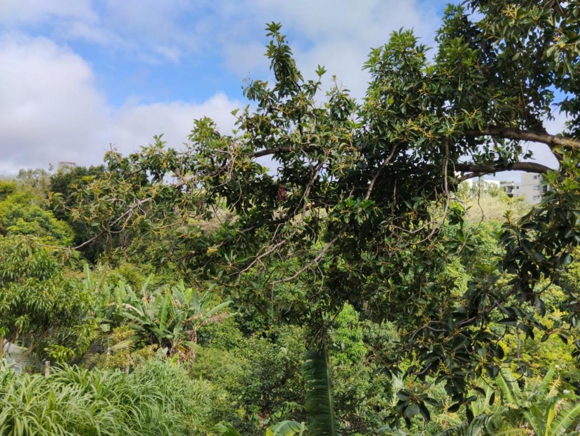 Apartamento Cercado Por Natureza E Diversao Maceió 외부 사진